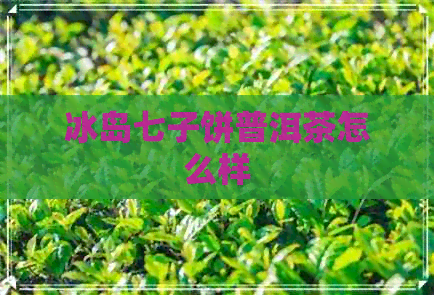 冰岛七子饼普洱茶怎么样