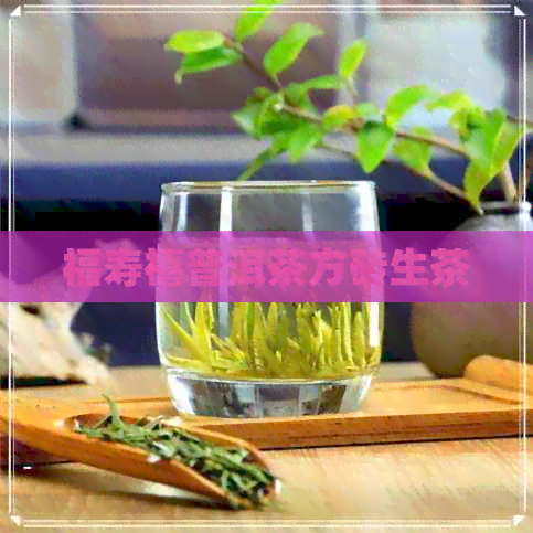 福寿禧普洱茶方砖生茶