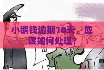 小鹅钱逾期10天，应该如何处理？