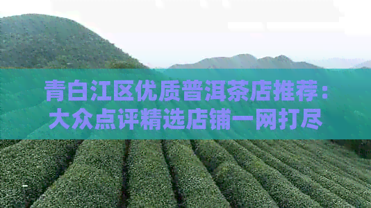 青白江区优质普洱茶店推荐：大众点评精选店铺一网打尽