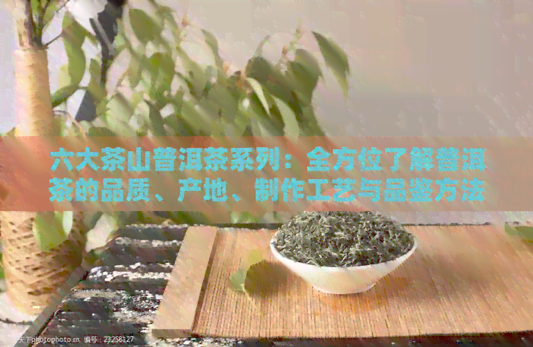 六大茶山普洱茶系列：全方位了解普洱茶的品质、产地、制作工艺与品鉴方法