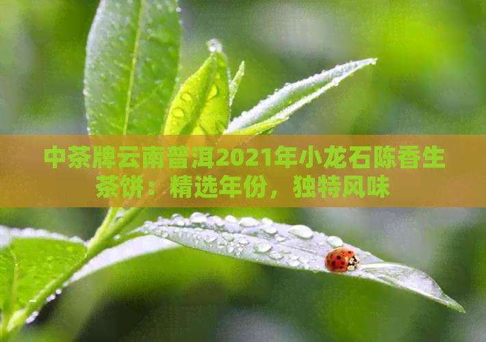 中茶牌云南普洱2021年小龙石陈香生茶饼：精选年份，独特风味