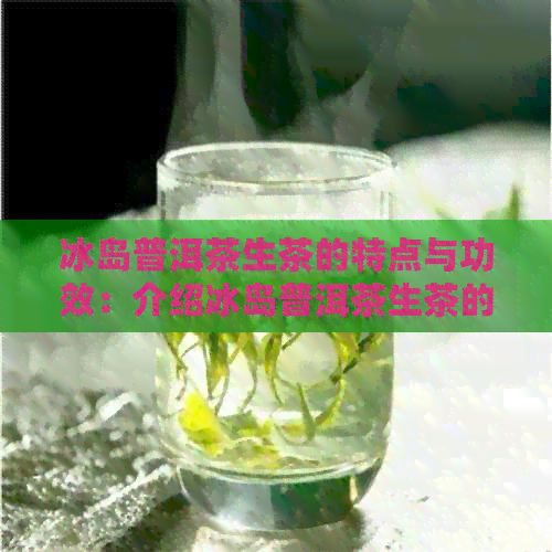 冰岛普洱茶生茶的特点与功效：介绍冰岛普洱茶生茶的特有风味和对健的益处