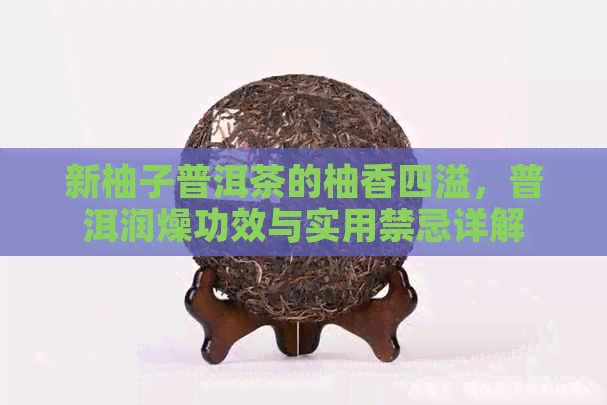 新柚子普洱茶的柚香四溢，普洱润燥功效与实用禁忌详解