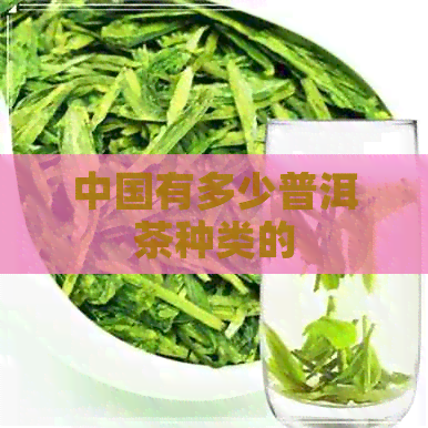 中国有多少普洱茶种类的