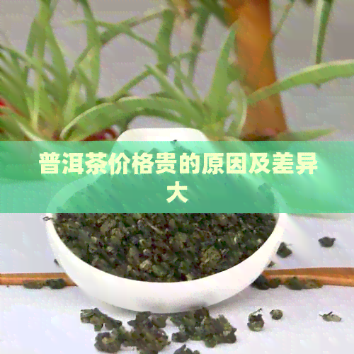 普洱茶价格贵的原因及差异大