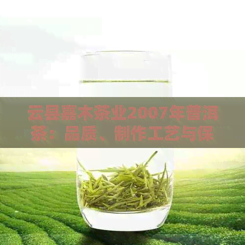 云县嘉木茶业2007年普洱茶：品质、制作工艺与保存方法的全面解析