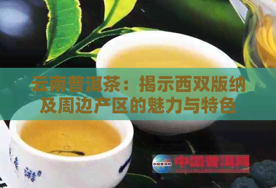 云南普洱茶：揭示西双版纳及周边产区的魅力与特色