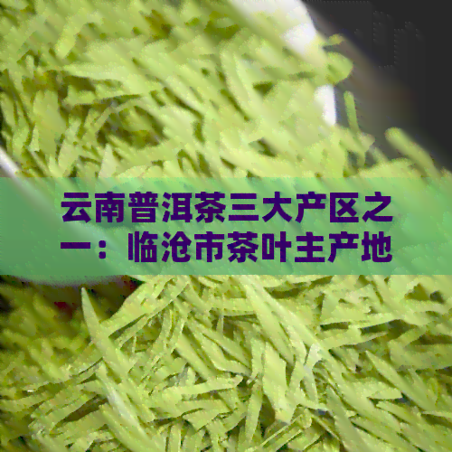 云南普洱茶三大产区之一：临沧市茶叶主产地