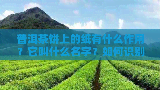 普洱茶饼上的纸有什么作用？它叫什么名字？如何识别和使用？