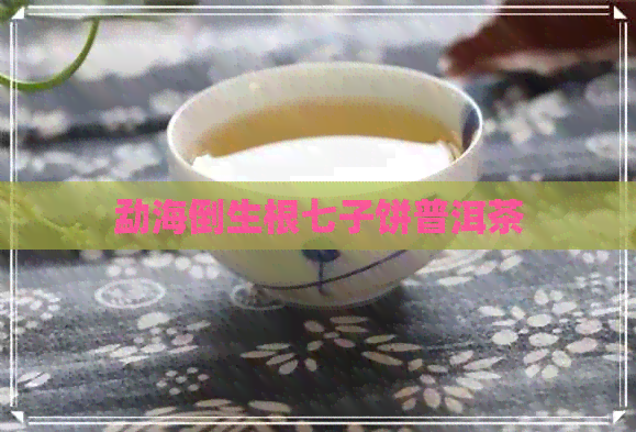 勐海倒生根七子饼普洱茶