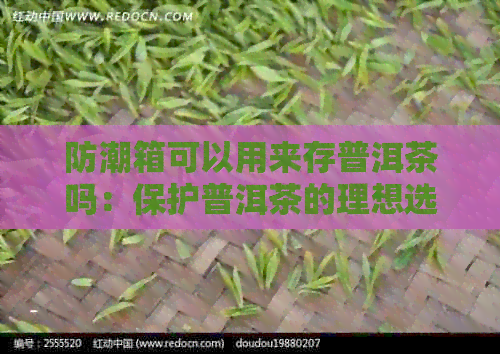 防潮箱可以用来存普洱茶吗：保护普洱茶的理想选择