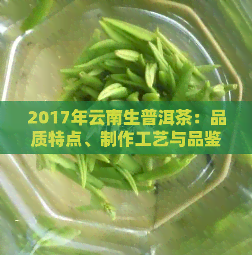 2017年云南生普洱茶：品质特点、制作工艺与品鉴方法全方位解析