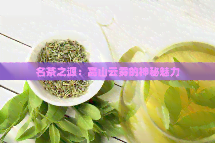 名茶之源：高山云雾的神秘魅力