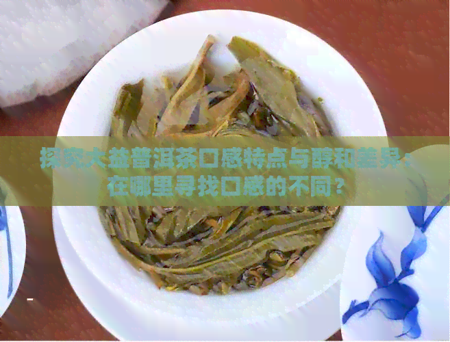 探究大益普洱茶口感特点与醇和差异：在哪里寻找口感的不同？