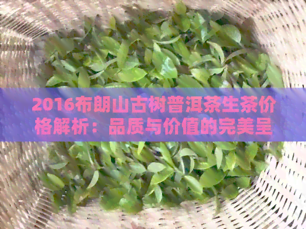 2016布朗山古树普洱茶生茶价格解析：品质与价值的完美呈现