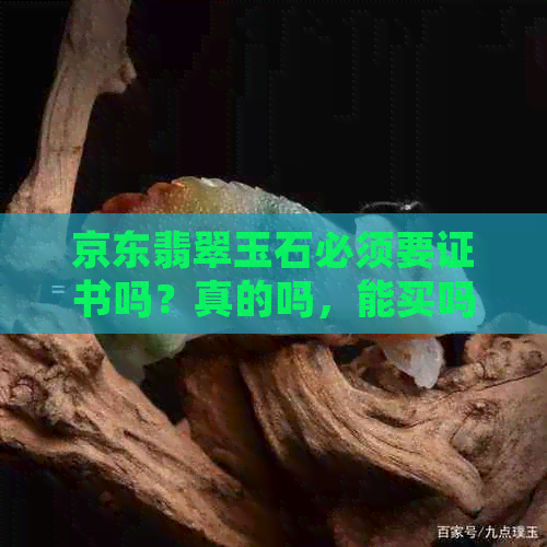 京东翡翠玉石必须要证书吗？真的吗，能买吗？