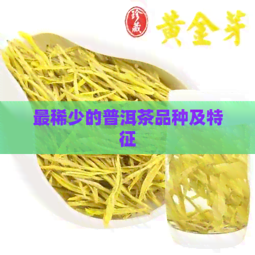 最稀少的普洱茶品种及特征