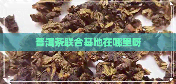 普洱茶联合基地在哪里呀