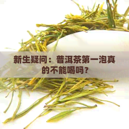 新生疑问：普洱茶之一泡真的不能喝吗？