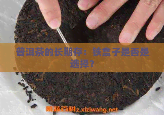 普洱茶的长期存：铁盒子是否是选择？