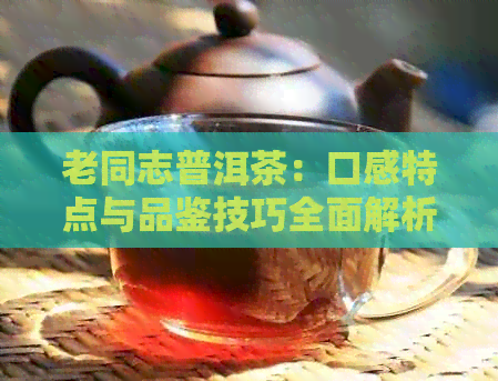 老同志普洱茶：口感特点与品鉴技巧全面解析，助您了解这一独特茶叶的魅力