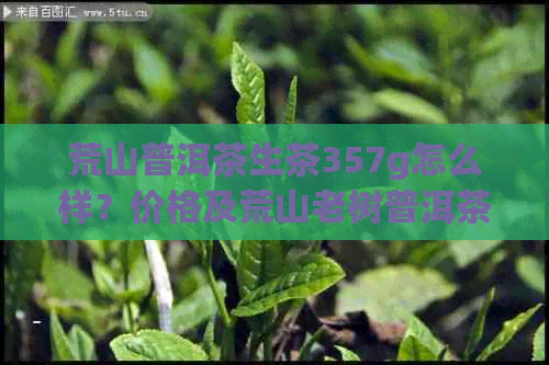 荒山普洱茶生茶357g怎么样？价格及荒山老树普洱茶、古树普洱茶信息