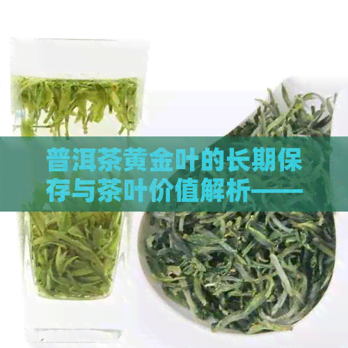 普洱茶黄金叶的长期保存与茶叶价值解析——探讨黄金叶茶是否适合长期收藏