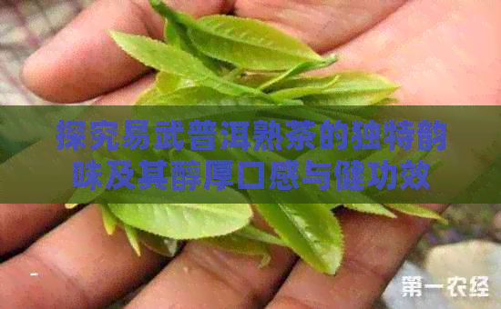 探究易武普洱熟茶的独特韵味及其醇厚口感与健功效