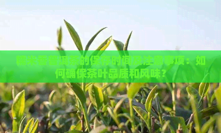 糯米香普洱茶的保存时间及注意事项：如何确保茶叶品质和风味？