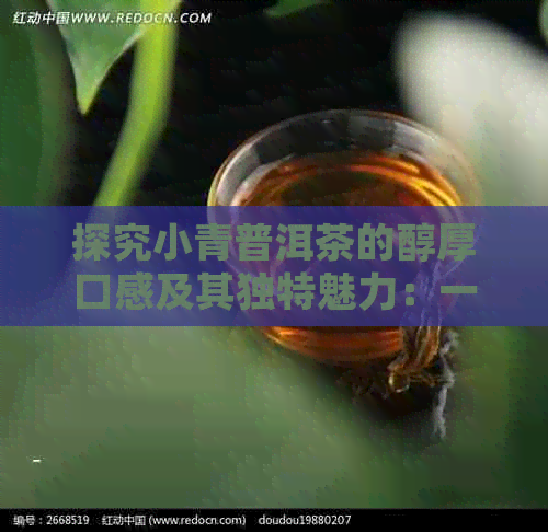 探究小青普洱茶的醇厚口感及其独特魅力：一份深度解析