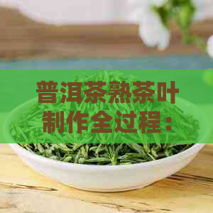 普洱茶熟茶叶制作全过程：步骤详解与制作要点