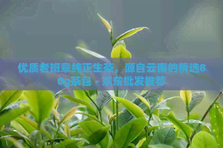 优质老班章纯正生茶，源自云南的精选80g茶包 - 京东批发推荐