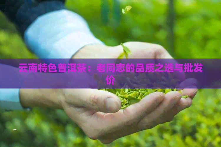 云南特色普洱茶：老同志的品质之选与批发价