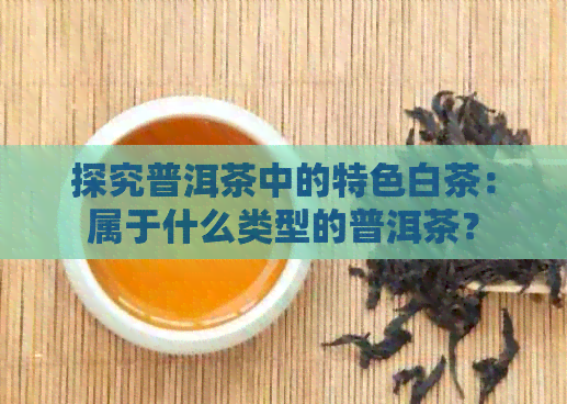 探究普洱茶中的特色白茶：属于什么类型的普洱茶？