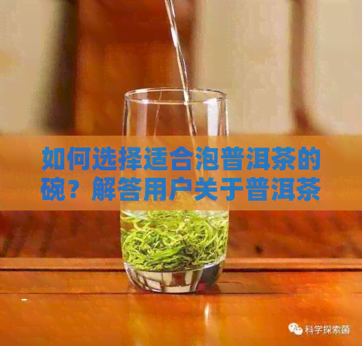 如何选择适合泡普洱茶的碗？解答用户关于普洱茶碗的全面疑问