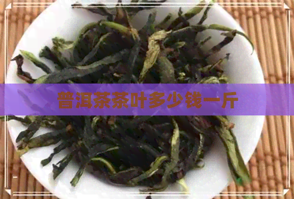 普洱茶茶叶多少钱一斤