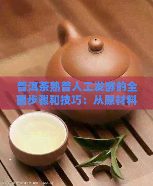 普洱茶熟普人工发酵的全面步骤和技巧：从原材料到成品的详细过程解析