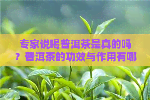 专家说喝普洱茶是真的吗？普洱茶的功效与作用有哪些？