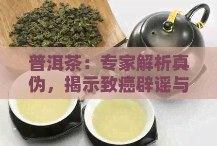 普洱茶：专家解析真伪，揭示致癌辟谣与健真相