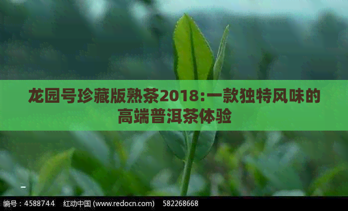 龙园号珍藏版熟茶2018:一款独特风味的高端普洱茶体验