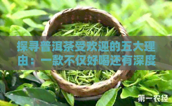 探寻普洱茶受欢迎的五大理由：一款不仅好喝还有深度的文化体验