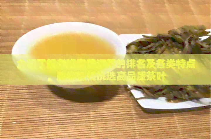 全面了解老班章普洱茶的排名及各类特点，助您轻松挑选高品质茶叶