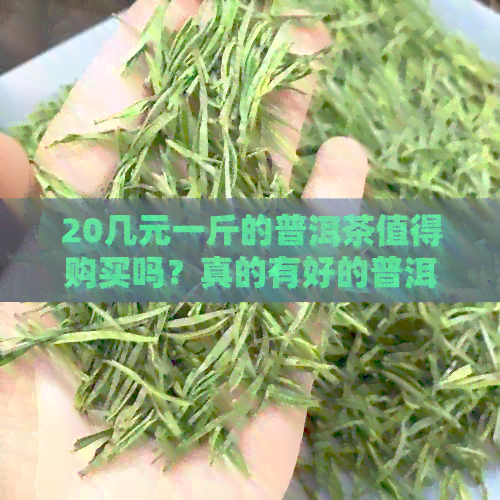 20几元一斤的普洱茶值得购买吗？真的有好的普洱茶吗？