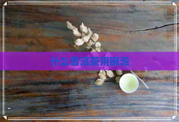 什么普洱茶用碗泡