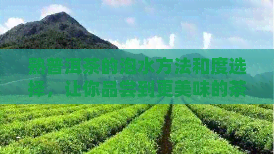 熟普洱茶的泡水方法和度选择，让你品尝到更美味的茶