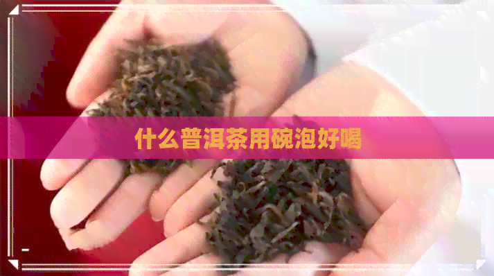 什么普洱茶用碗泡好喝