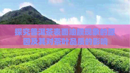 探究普洱茶表面油膜现象的原因及其对茶叶品质的影响