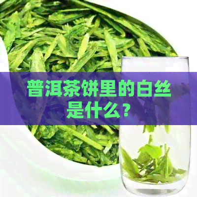 普洱茶饼里的白丝是什么？