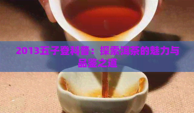 2013五子登科普：探索洱茶的魅力与品鉴之道